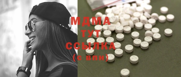 стаф Алексин