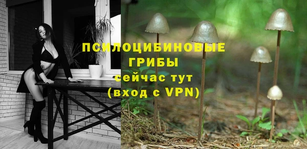 МДПВ Аркадак